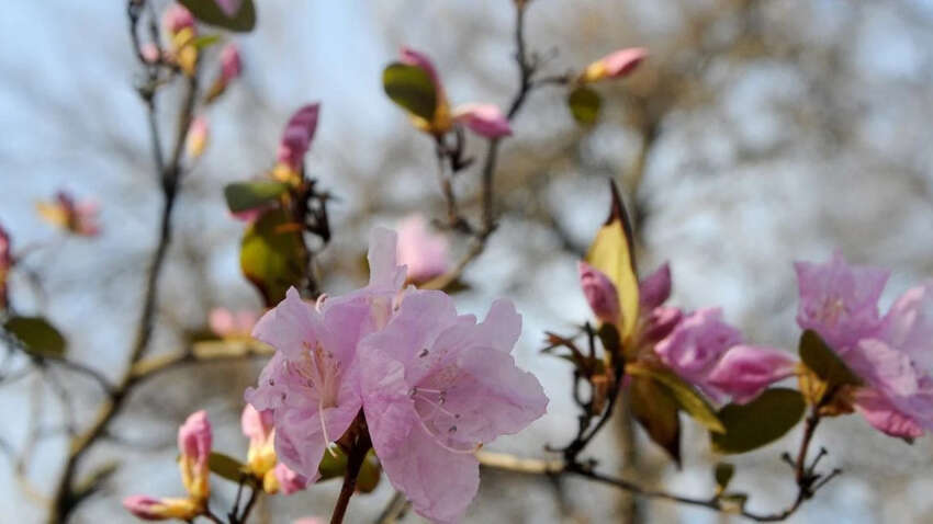 Світла субота: головна заборона дня