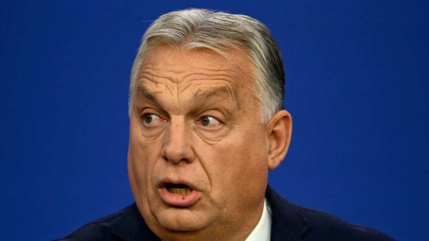 «Орбанат окончательно охренел»: Петр Андрющенко не сдержал эмоции 