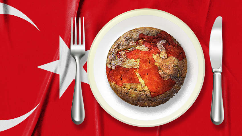 Крым и Донбасс «попали» под влияние Турции: кто и зачем засветил скандальную карту