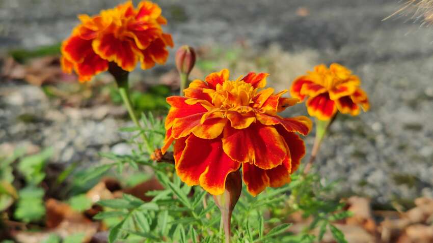 Какой церковный праздник 24 сентября: что нельзя делать, чтобы деньги водились в доме