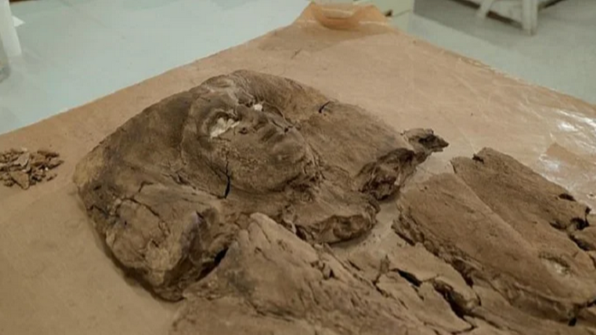 Археологи воссоздали облик египетской принцессы, жившей 4000 лет назад