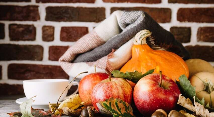 Топ-5 основных овощей, которые следует есть этой осенью