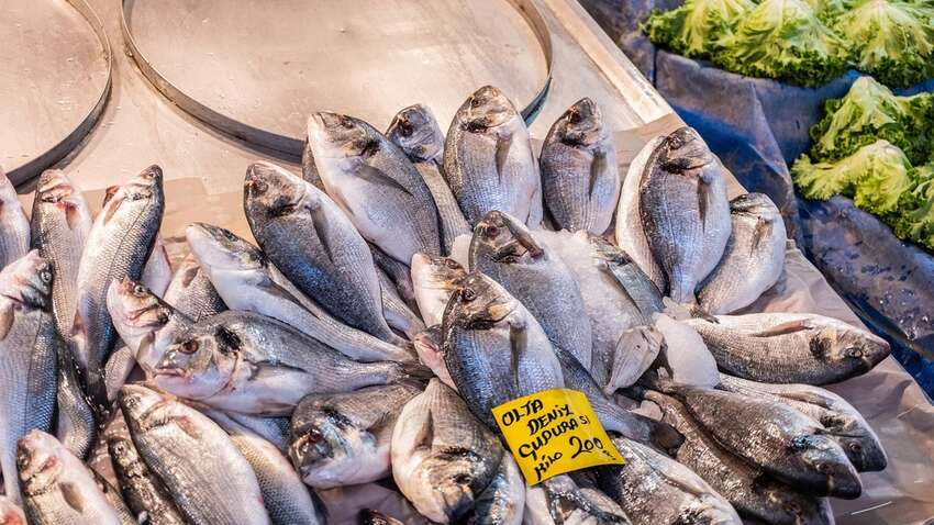 Прекратите есть рыбу немедленно: кому смертельно опасно употреблять этот продукт Прекратите есть рыбу немедленно: кому смертельно опасно употреблять этот продукт