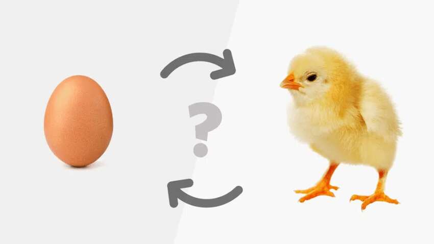 Вчені нарешті дали відповідь на вічне питання: що було першим - курка чи яйце