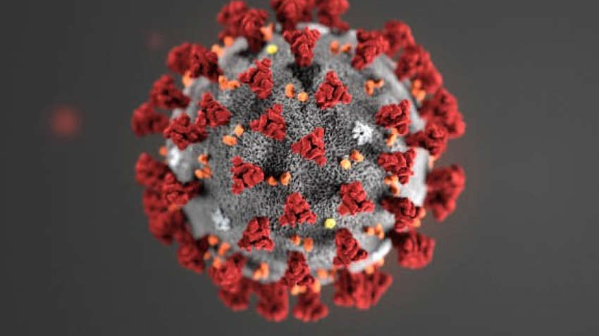 Настоящее происхождение COVID: чем может обернуться расследование разведки США