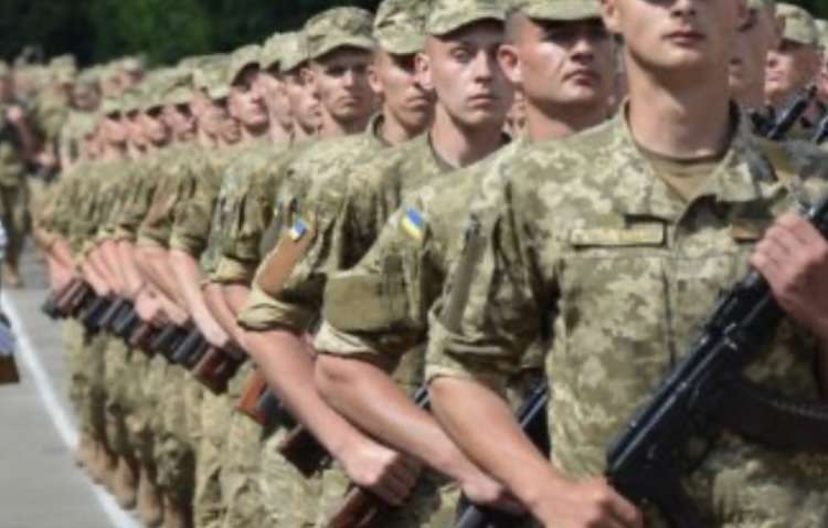 О яйцах и не только: должны ли оборонные закупки быть публичными