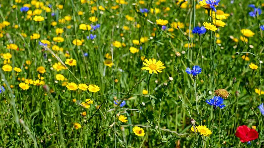 Прогноз погоды на июль: каким будет второй месяц лета