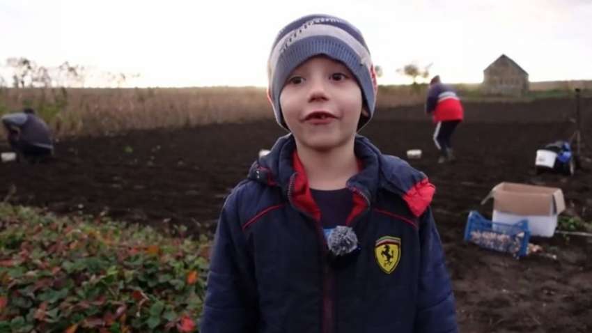 Набрало миллион лайков: маленький тик-токер покорил сеть новым роликом о Рождестве (ВИДЕО)