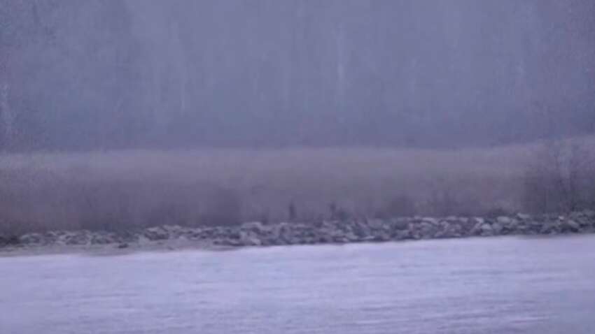 Такого еще не было: россияне «заблудились» на границе НАТО