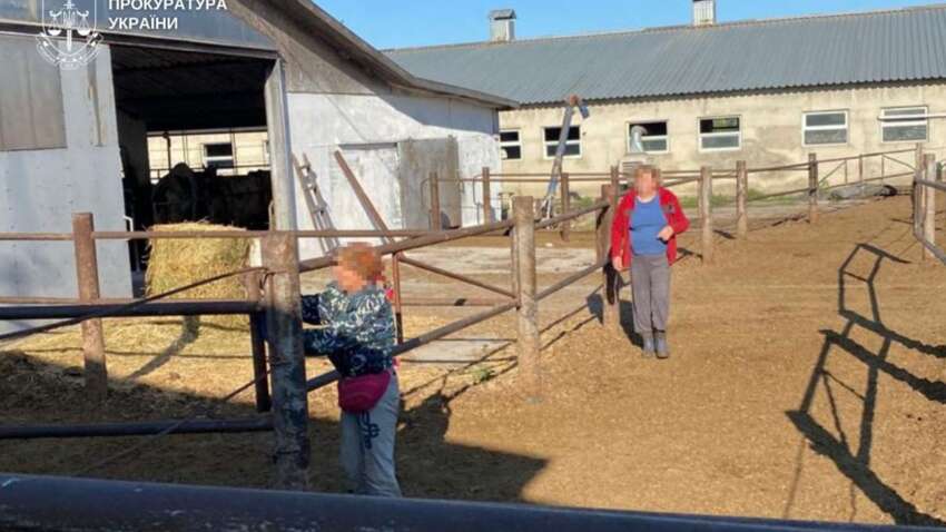 «Обещали работу – забрали свободу»: в Днепропетровской области фермеры держали людей в настоящем рабстве