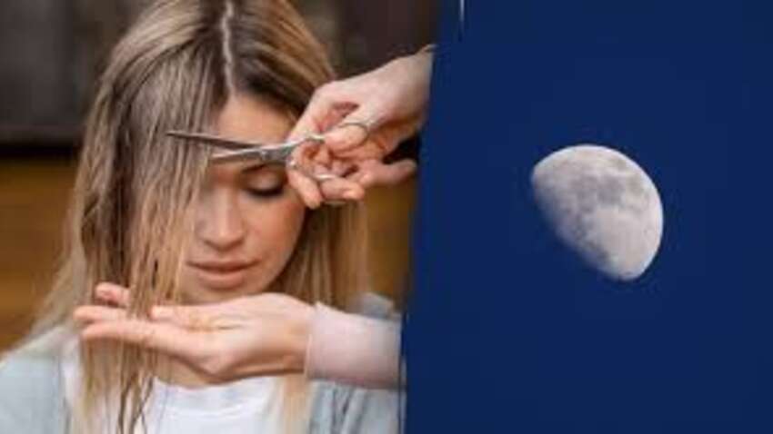 Не стрижіть волосся в ці дні березня – астрологи попереджають про наслідки Не стрижіть волосся в ці дні березня – астрологи попереджають про наслідки