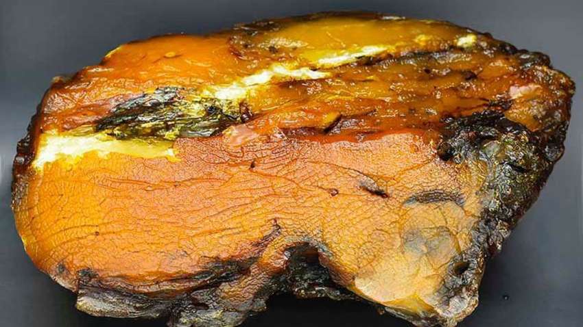 В Рівненській області видобули один з найбільших каменів бурштину у світі (ФОТО)
