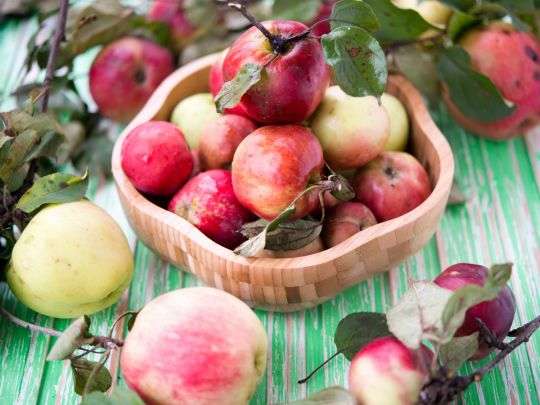 Преображення Господнє: що заборонено робити на Яблучний Спас