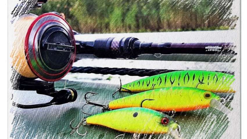 Полюємо на велику рибу: кращі приманки для лову щук