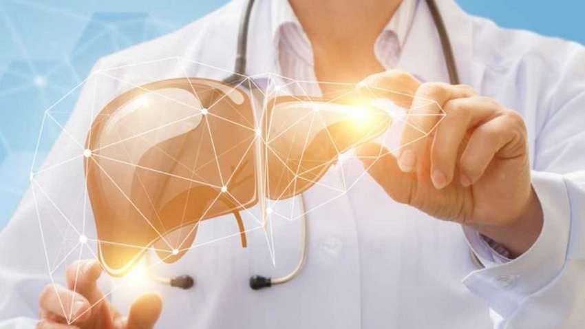 Как восстановить печень после употребления алкоголя