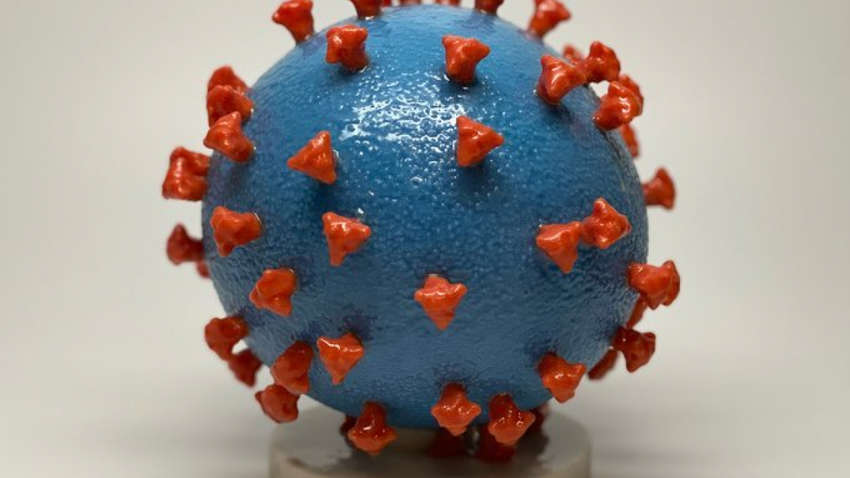 У Китаї заперечують штучне походження коронавірусу