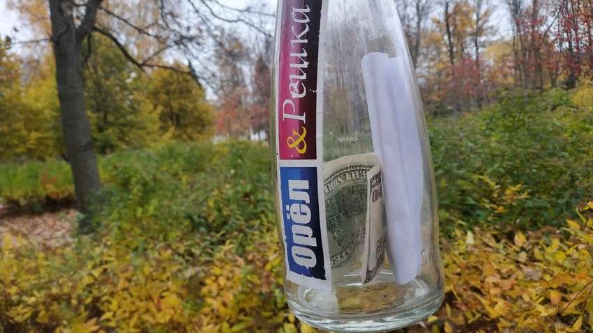 Россияне выкорчевали все пни в берёзовой роще ради 100 долларов от телешоу «Орел и решка»