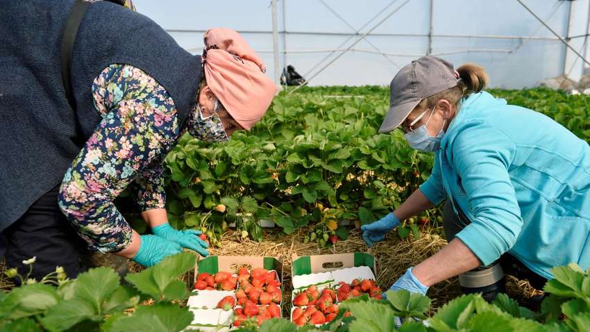 Украина стала лидером по денежным переводам мигрантов - масштаб проблемы