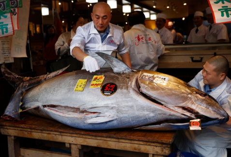 У Японії на аукціоні продали тунця за 1,8 мільйонів доларів