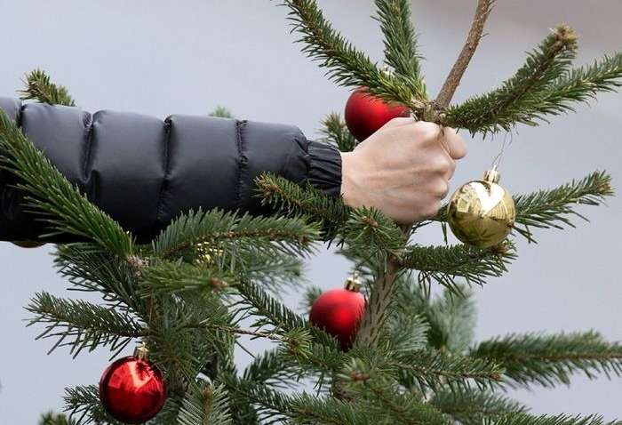 Прибираємо новорічну ялинку з розумом: що потрібно знати, щоб уникнути біди та невдачі Прибираємо новорічну ялинку з розумом: що потрібно знати, щоб уникнути біди та невдачі
