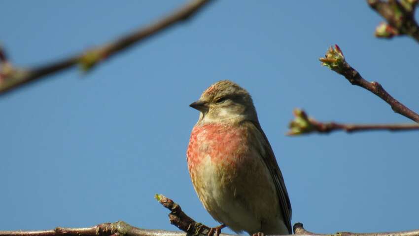 Какой церковный праздник 2 апреля: что нужно сделать, чтобы деньги водились весь год