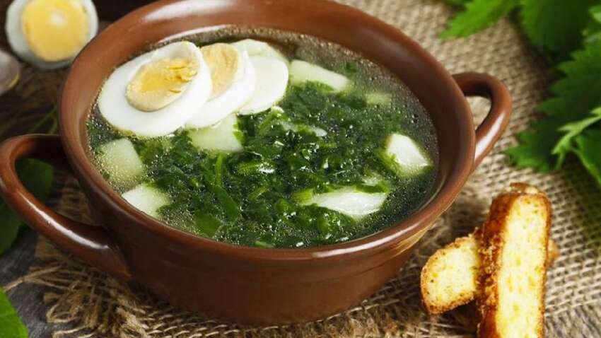 Бур'яни  вважають “зайвими”, але вони рятували життя: про що нагадує незвичне свято березня