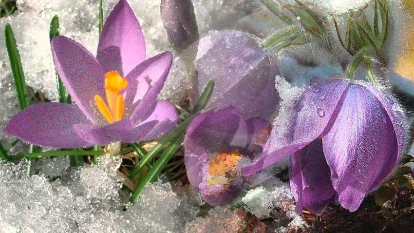 Березень поб'є температурний рекорд