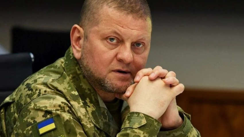 Аукцион "Кофе с Залужным": кто выиграл и какой был самый большой лот