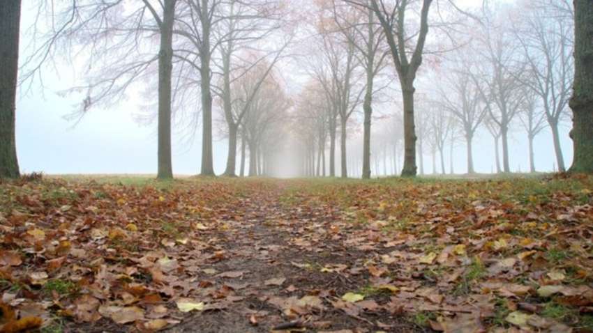 У неділю в Україні буде похмуро і прохолодно