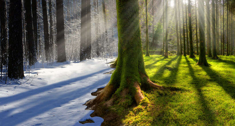 Снега меньше, засух больше: как изменился климат Украины за 100 лет