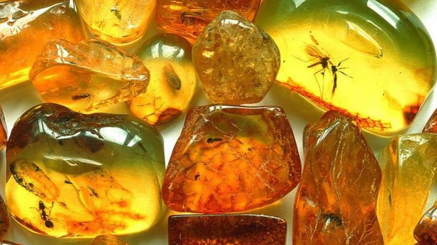 Закон про видобуток бурштину: що зміниться в Україні