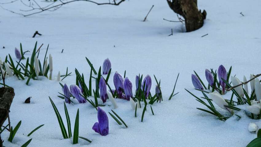 Церковный праздник 17 марта: кому будет сопутствовать удача и достаток весь год