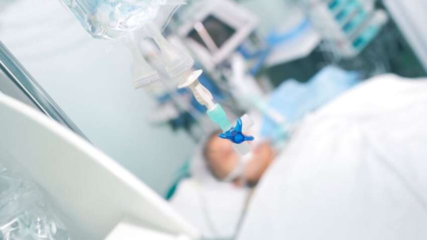 На Львівщині жінка померла після укусу кота – медики підозрюють сказ