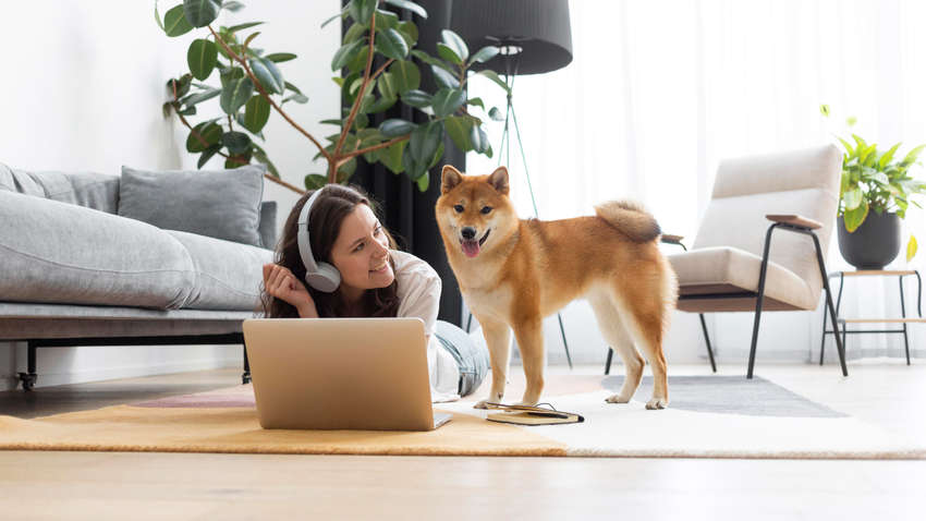 В Україні потрібно буде реєструвати домашніх тварин, — ЗМІ В Україні потрібно буде реєструвати домашніх тварин, — ЗМІ