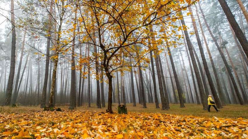Синоптик здивував прогнозом до кінця року: листопад та грудень поміняються місцями
