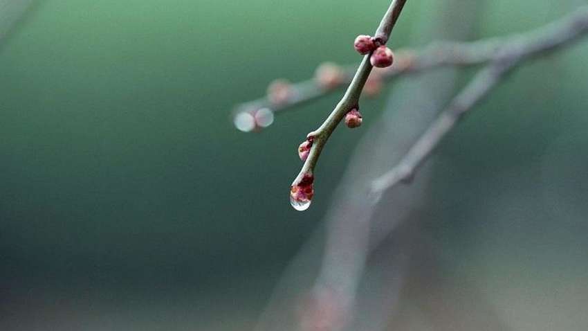 Прийде похолодання: якою буде погода в Україні на Великдень