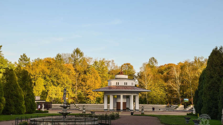 Моршинский эксперимент: действуют ли вакцины Моршинский эксперимент: действуют ли вакцины