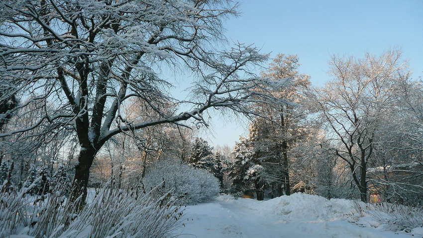 В Україну йдуть снігопади та морози до -13: де буде справжній колапс В Україну йдуть снігопади та морози до -13: де буде справжній колапс