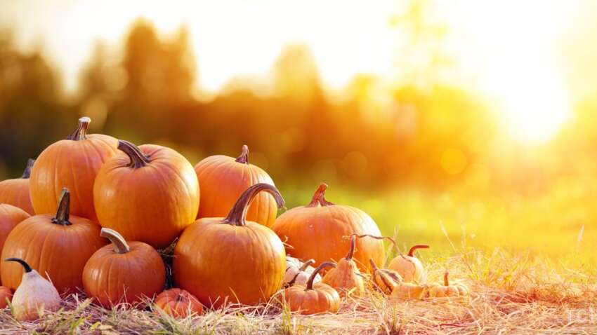 Яке церковне свято 31 жовтня: що треба зробити сьогодні, щоб захиститись від зла Яке церковне свято 31 жовтня: що треба зробити сьогодні, щоб захиститись від зла