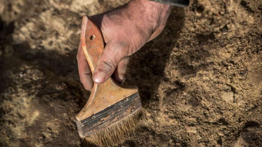 Тайна, которой 700 лет: в Европе нашли огромную яму с человеческими останками