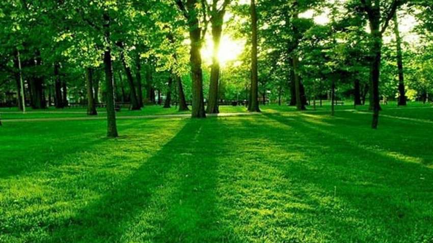 Виявилося, що люди кардинально вплинули на навколишнє середовище ще 3000 років тому