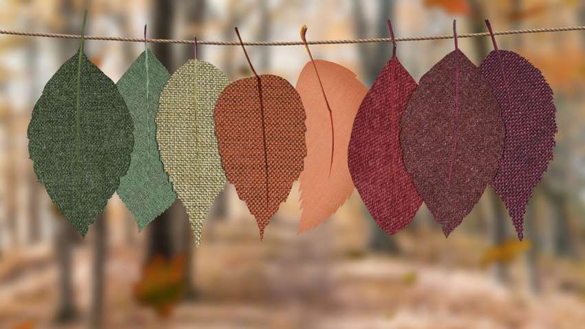 Последние жаркие дни: когда в Украину придет похолодание