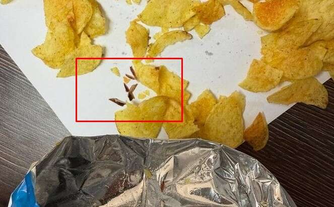 "Ледве не вмер": жахлива знахідка військового у пачці з чипсами