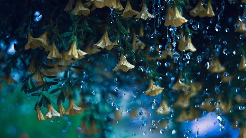 Україну накриють дощі з грозами та сильний вітер: синоптик розповіла, чого чекати від погоди 17 липня