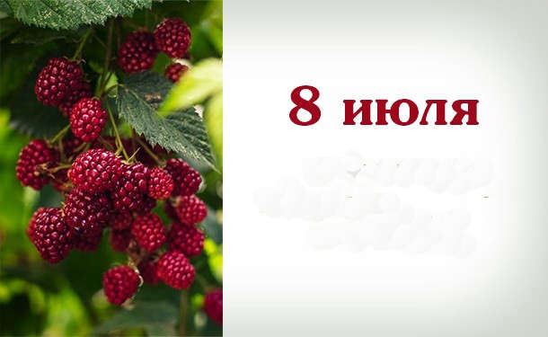 Яким буде 8 липня: ТОП подій сьогоднішнього дня