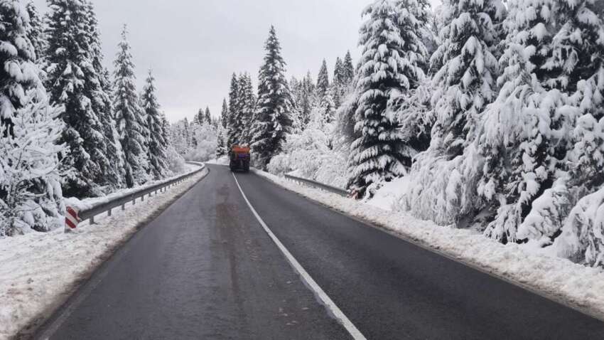 Церковный праздник 3 февраля: два главные запрета дня