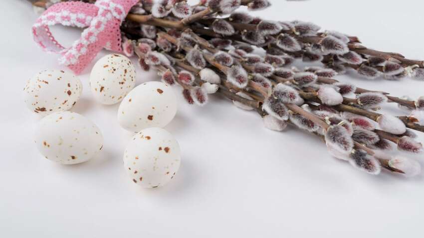 Вербна неділя в Україні: що не можна робити в цей день