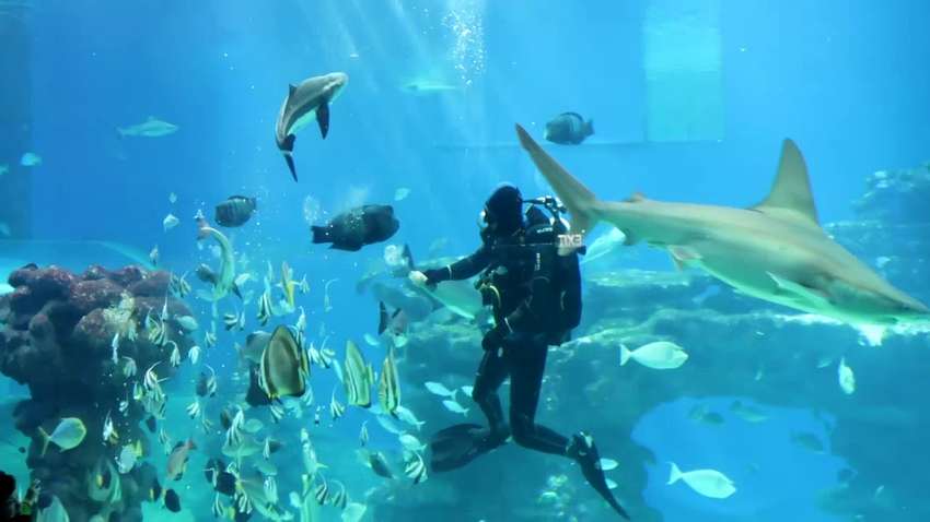 Большая подводная обсерватория бесследно исчезла 