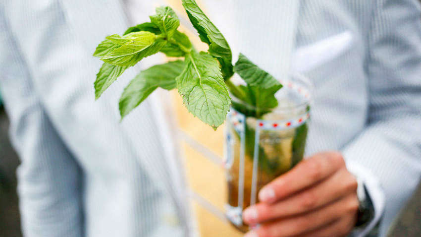 Названо рослину, яка здатна контролювати апетит