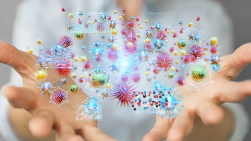 Как восстановить естественную микрофлору кишечника